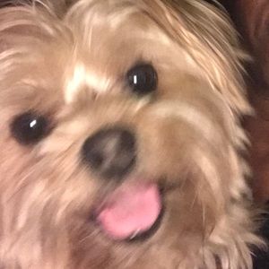 Meet your Posher, Tia